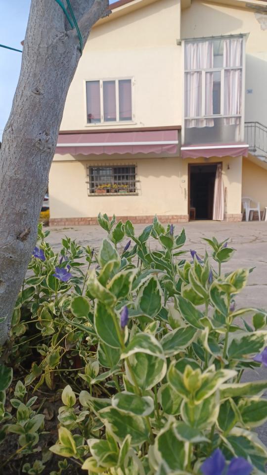 Casa indipendente in vendita a Castagnaro