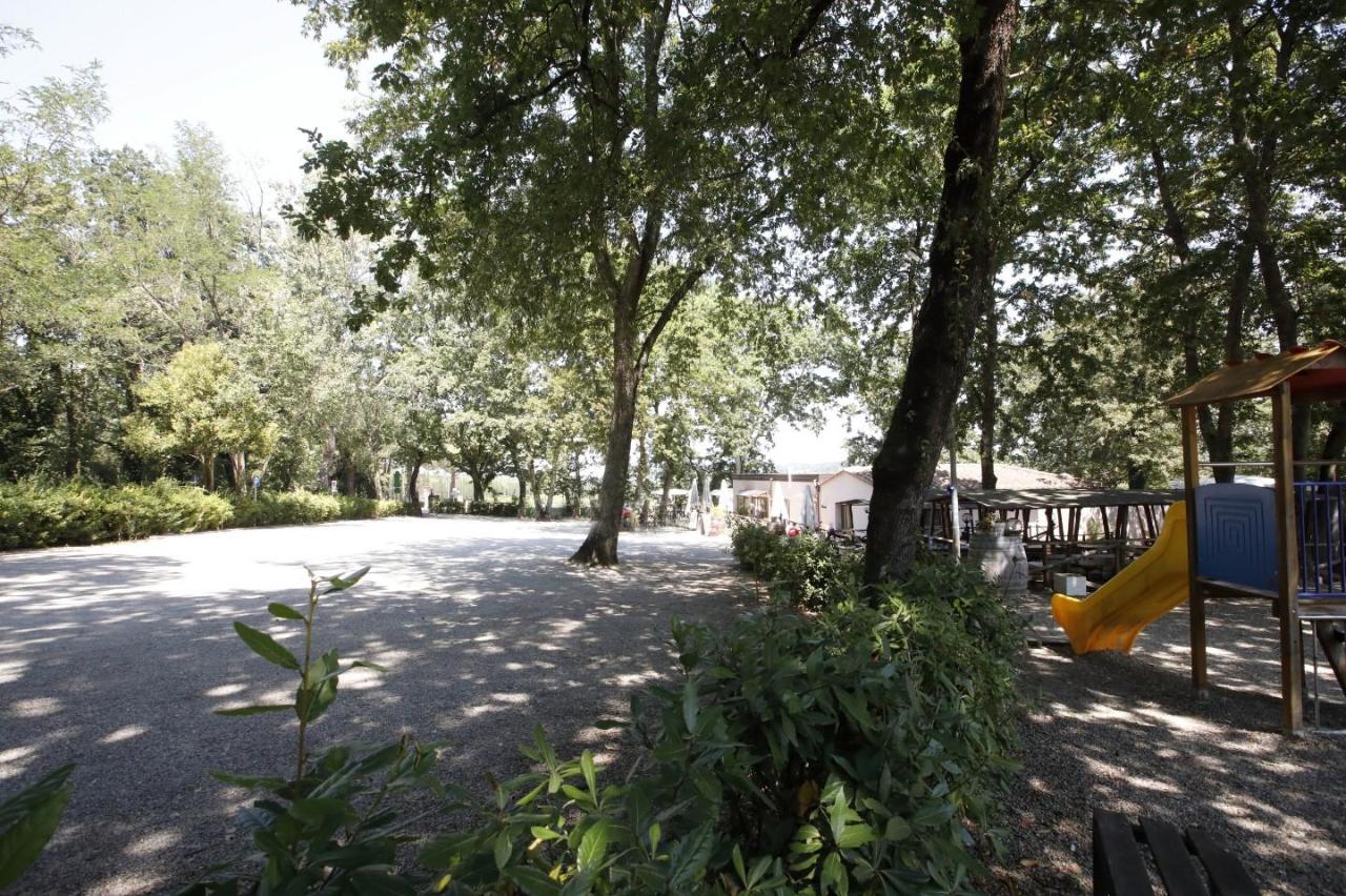Esercizio commerciale in , Crespina Lorenzana, {3} - Foto 2