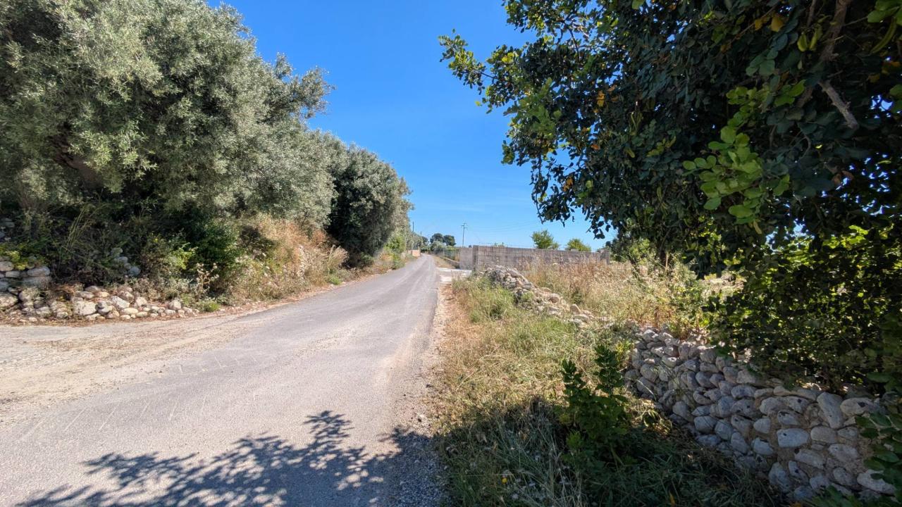 immagine annuncio 8 di 11