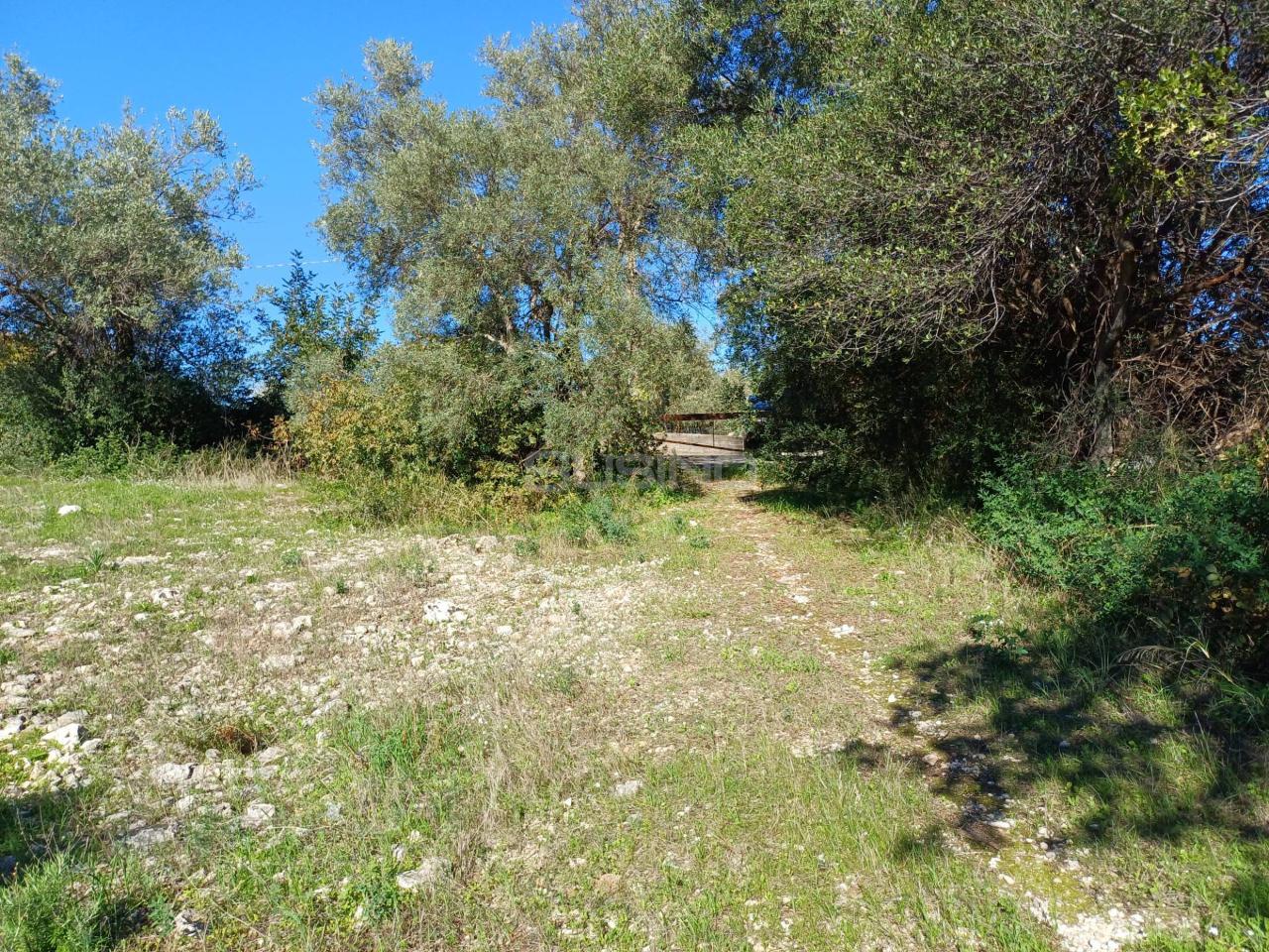 immagine annuncio 9 di 12