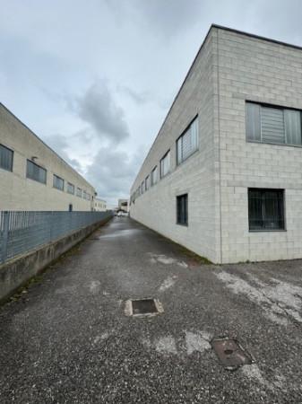 Capannone in Via delle Viole, Cremona, {3} - Foto 2