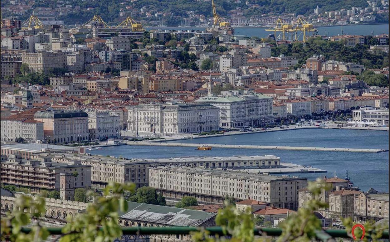 immagine annuncio 3 di 7