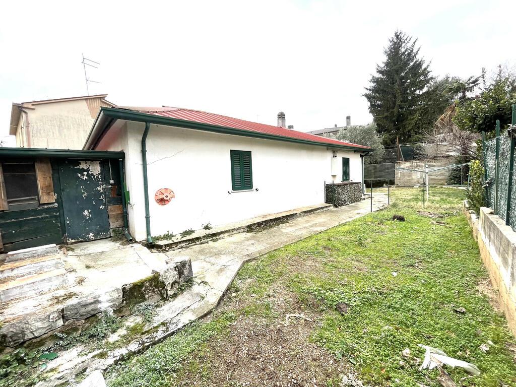 immagine annuncio 1 di 14