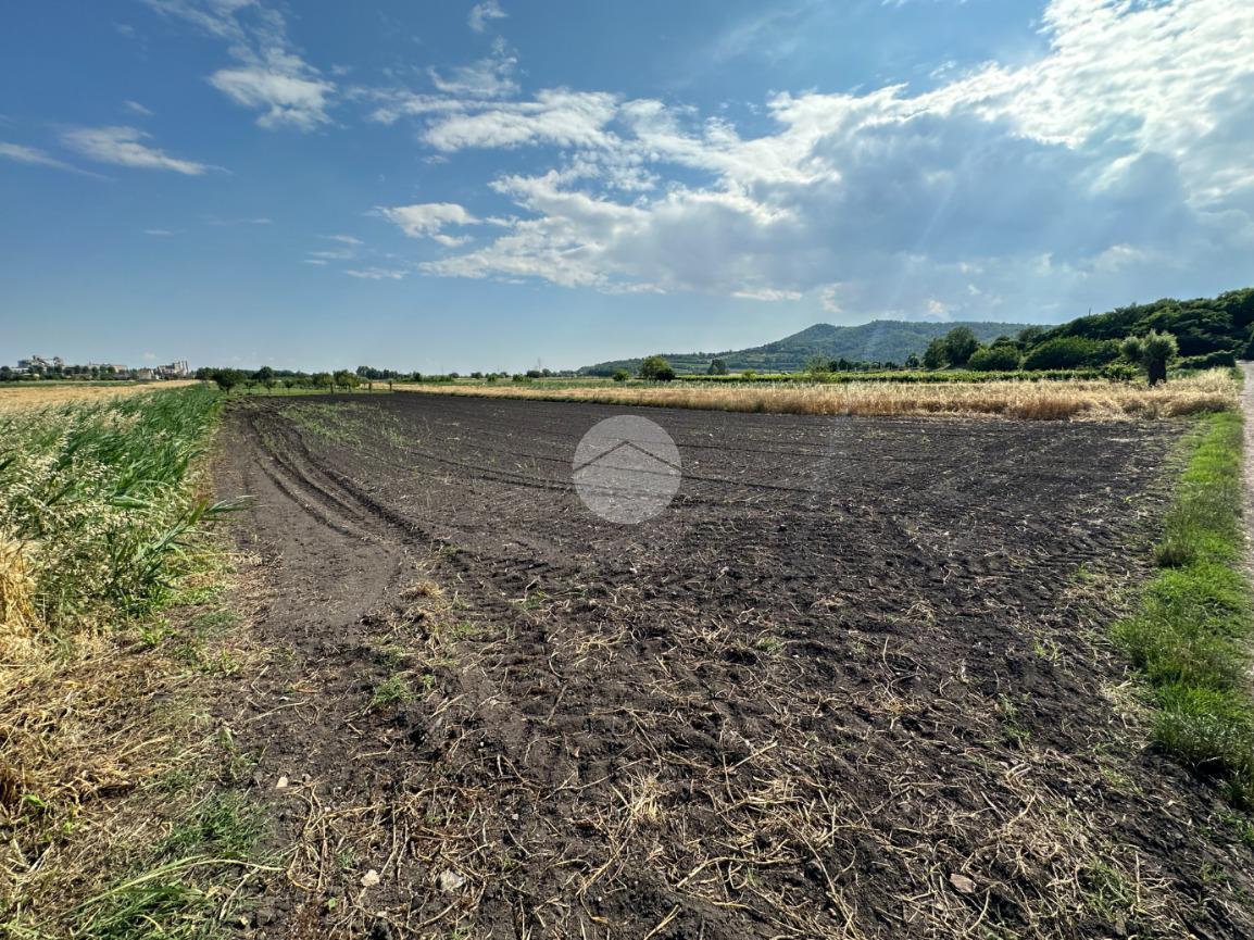 Terreno agricolo in vendita a Arqua' Petrarca