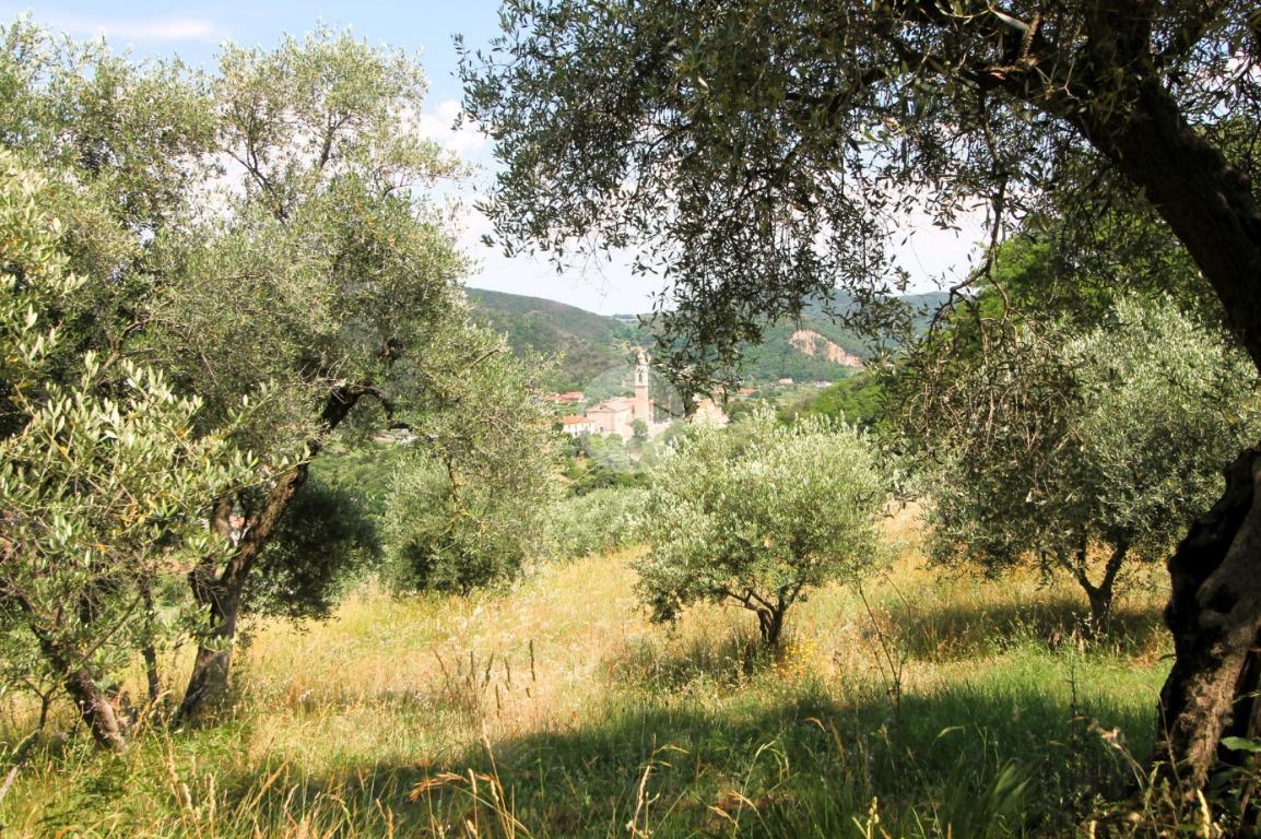 Terreno agricolo in vendita a Galzignano Terme