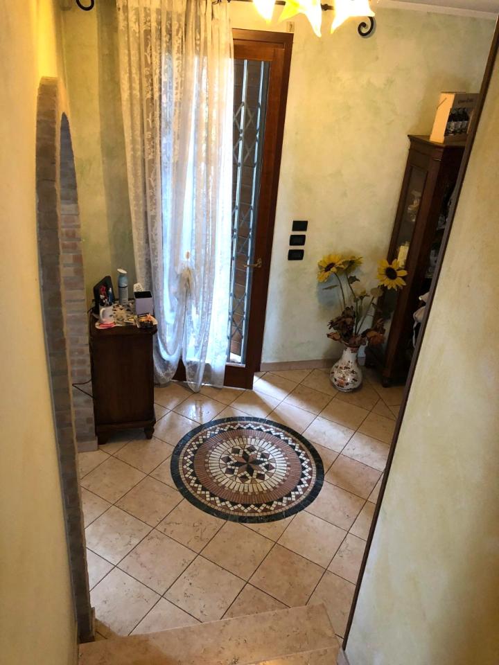 immagine annuncio 5 di 14