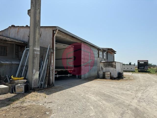 Capannone in Rimini S.S. Adriatica, Rimini, {3} - Foto 2