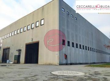 Capannone in , Cesena, {3} - Foto 1