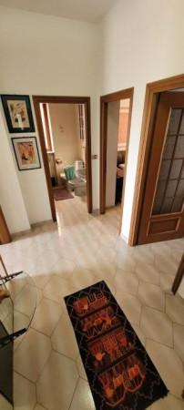 immagine annuncio 6 di 14