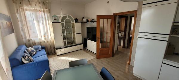 immagine annuncio 11 di 14