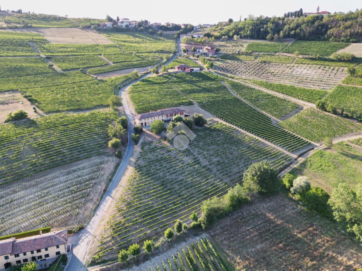 Terreno agricolo in vendita a Costigliole D'Asti