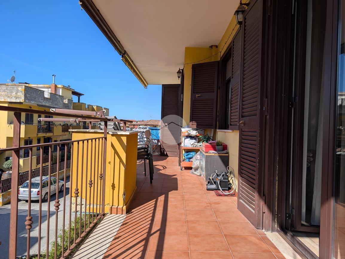 immagine annuncio 5 di 15