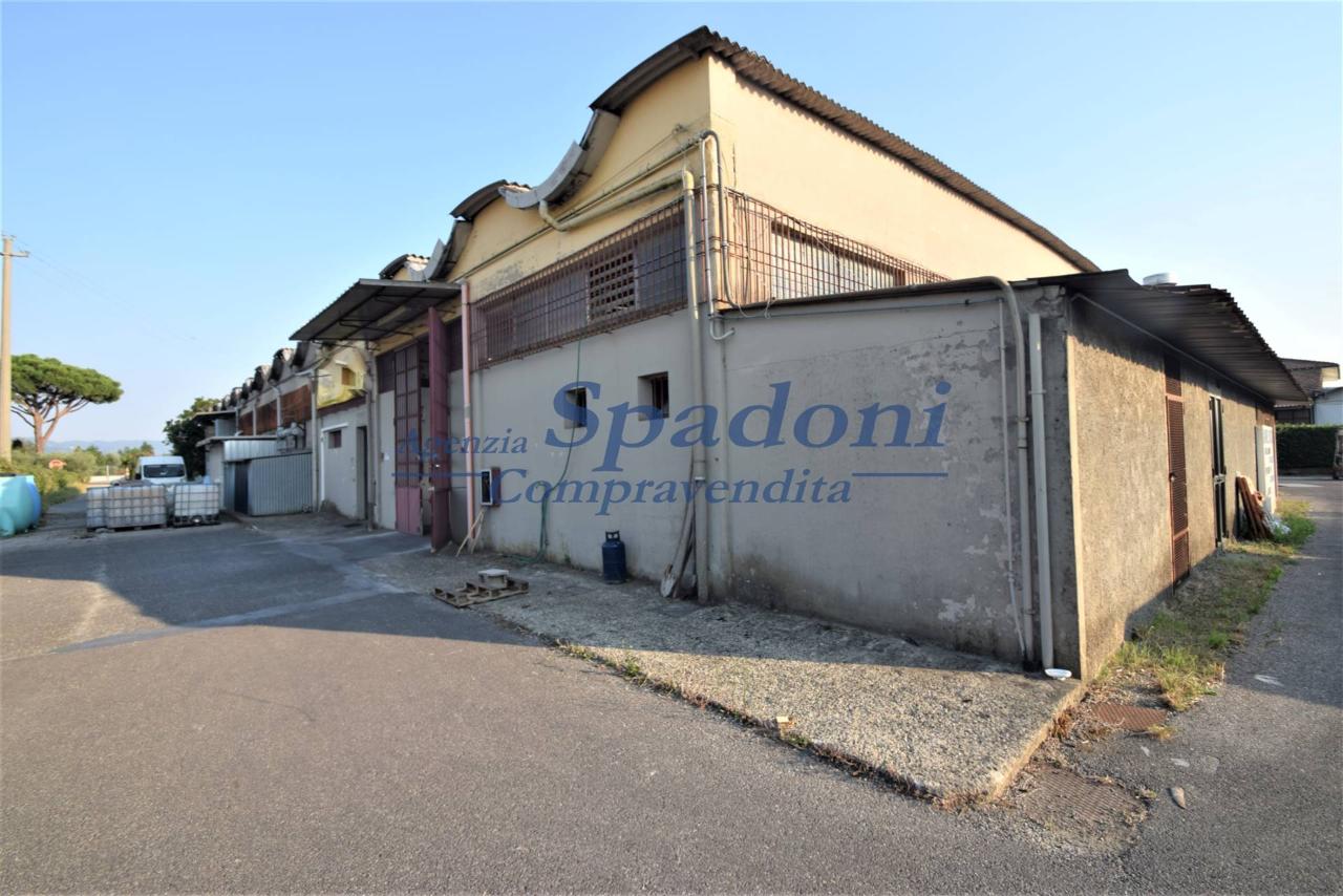 Capannone in , Pieve A Nievole, {3} - Foto 1