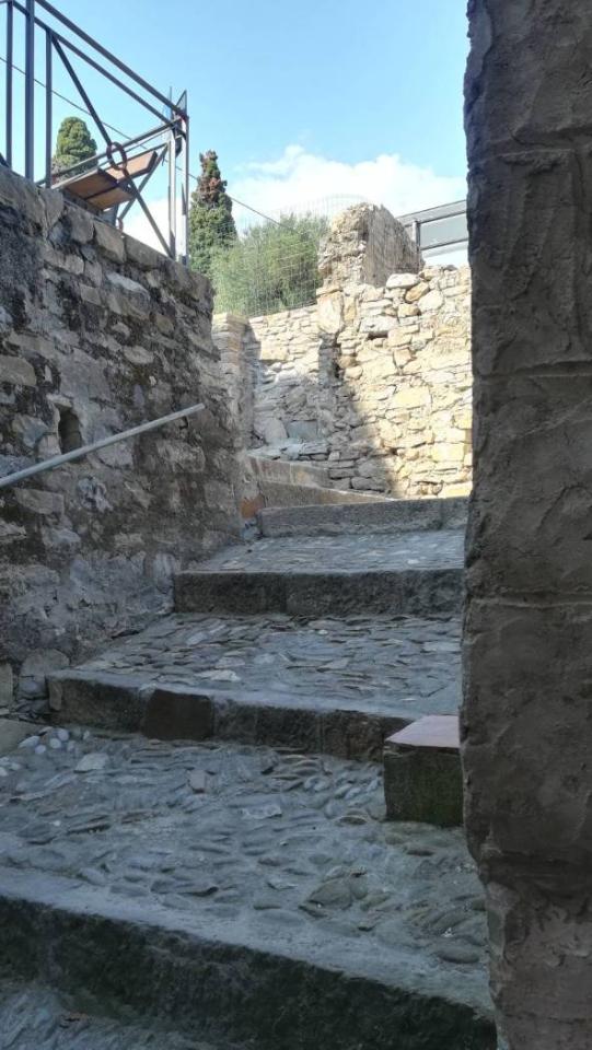 immagine annuncio 9 di 14
