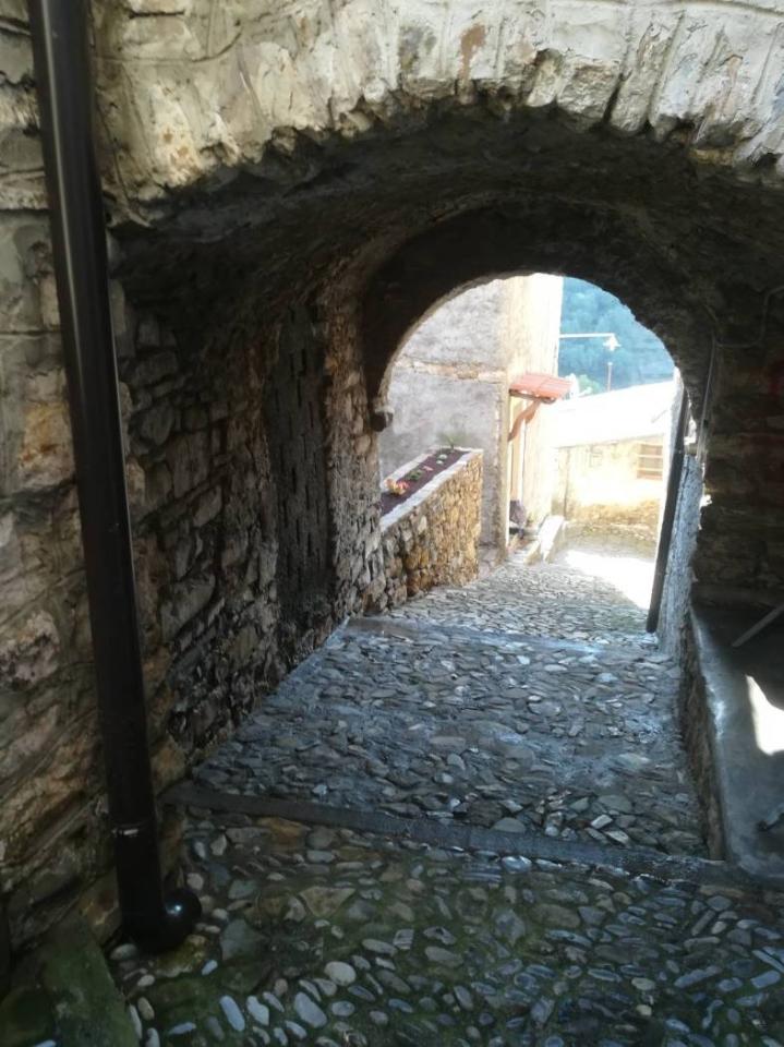 immagine annuncio 10 di 14