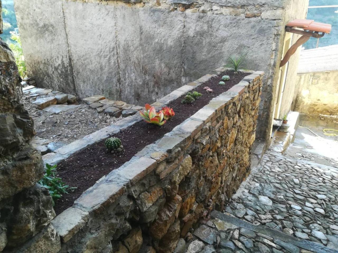 immagine annuncio 11 di 14