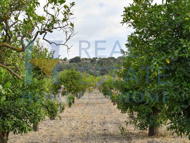 Country house or cottage in Via Tommaso Fazello 228, Noto - Photo 1