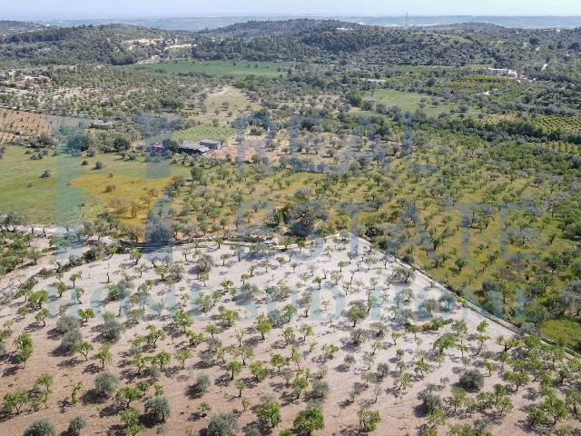 Country house or cottage in Via Tommaso Fazello 228, Noto - Photo 1