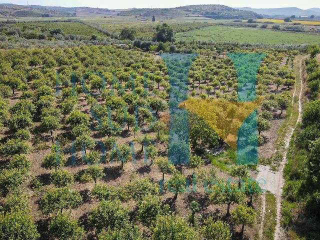 Building land in Via Tommaso Fazello 228, Noto - Photo 1