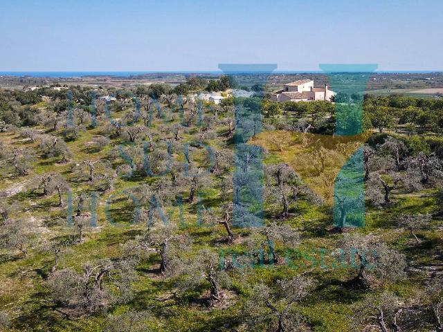 Building land in Via Tommaso Fazello 228, Noto - Photo 1