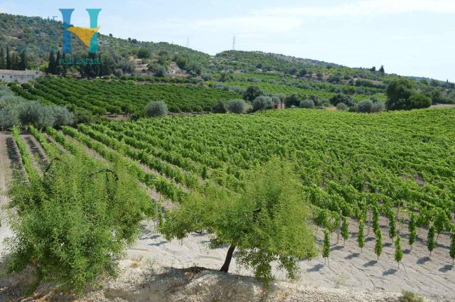 Country house or cottage, Noto - Photo 1