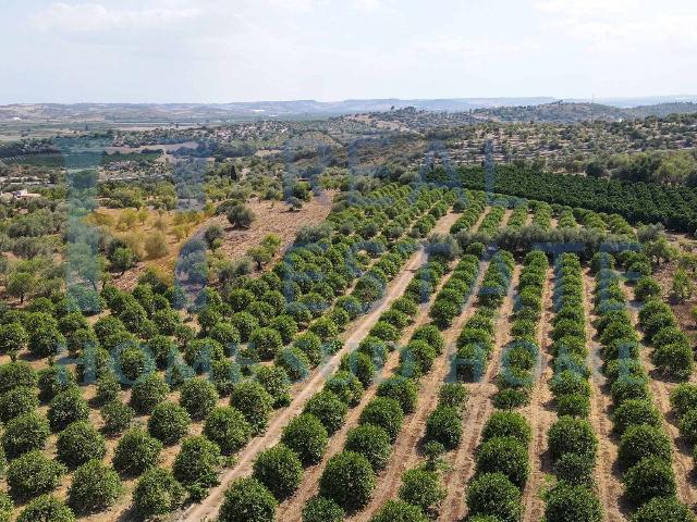 Building land in Via Tommaso Fazello 228, Noto - Photo 1