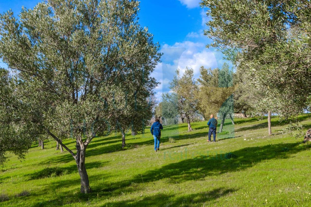 immagine annuncio 8 di 14