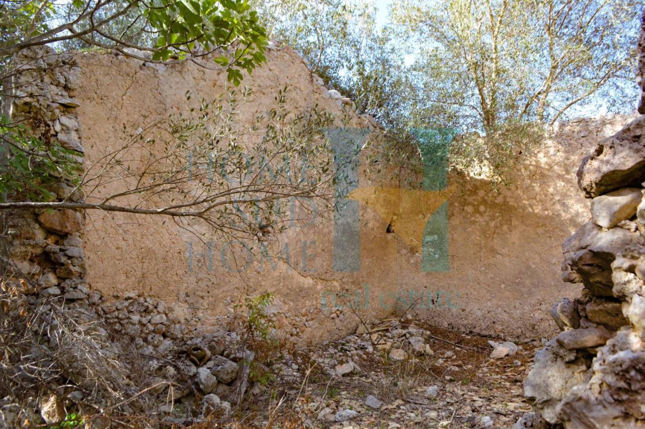 immagine annuncio 2 di 12