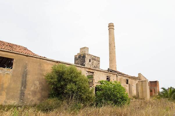 immagine annuncio 8 di 14