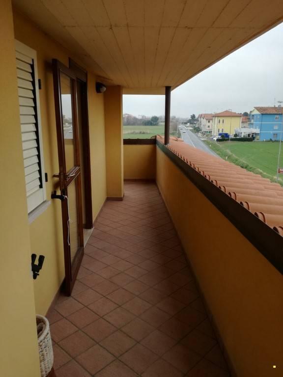immagine annuncio 5 di 13