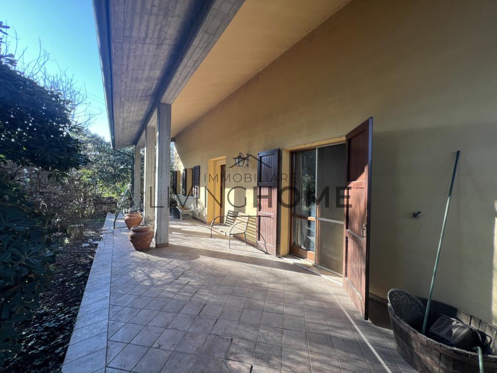 immagine annuncio 1 di 6