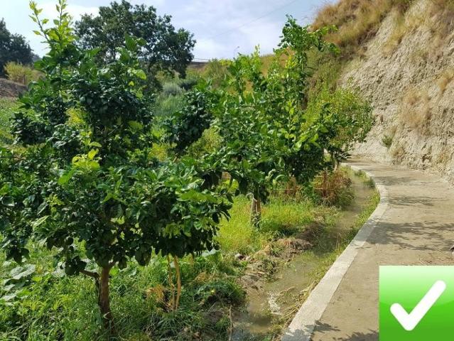 Agrargrundstück, Reggio di Calabria - Foto 1