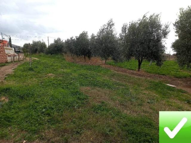 Agrargrundstück in Contrada Aretina, Reggio di Calabria - Foto 1