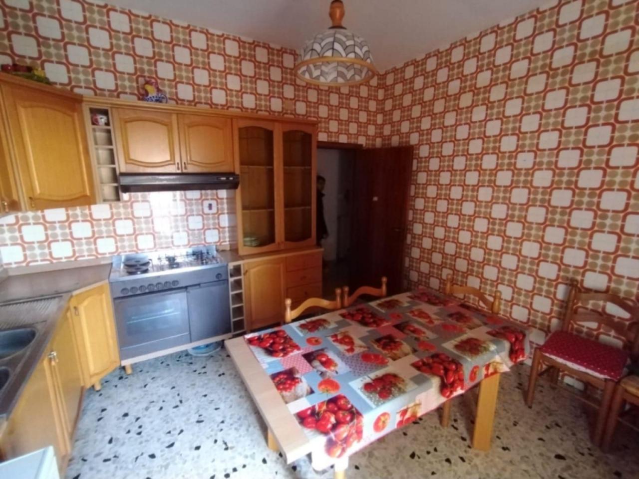 immagine annuncio 3 di 12