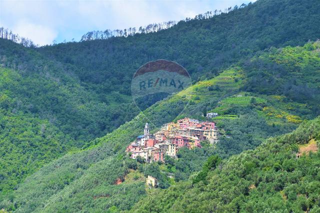 Casa indipendente in Loc. Lavaggiorosso, Levanto - Foto 1