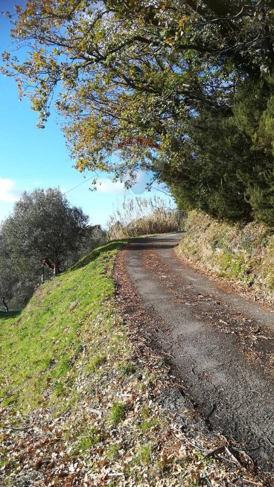 immagine annuncio 7 di 11