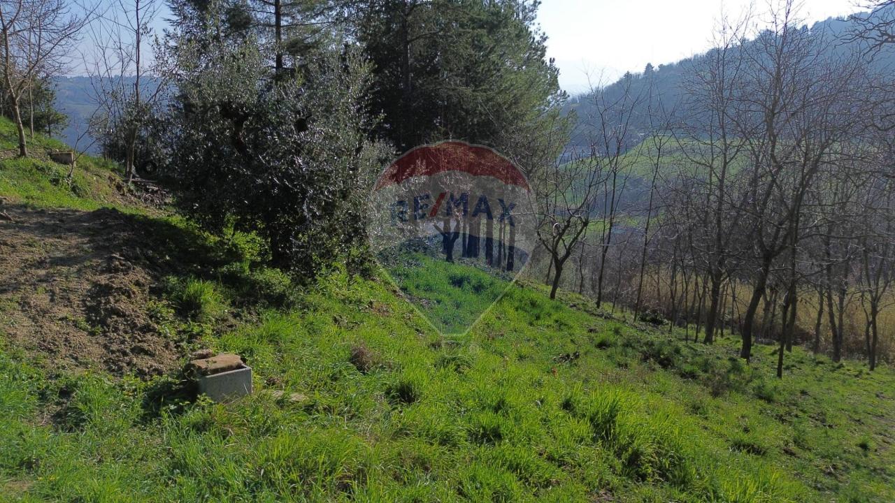 immagine annuncio 3 di 7