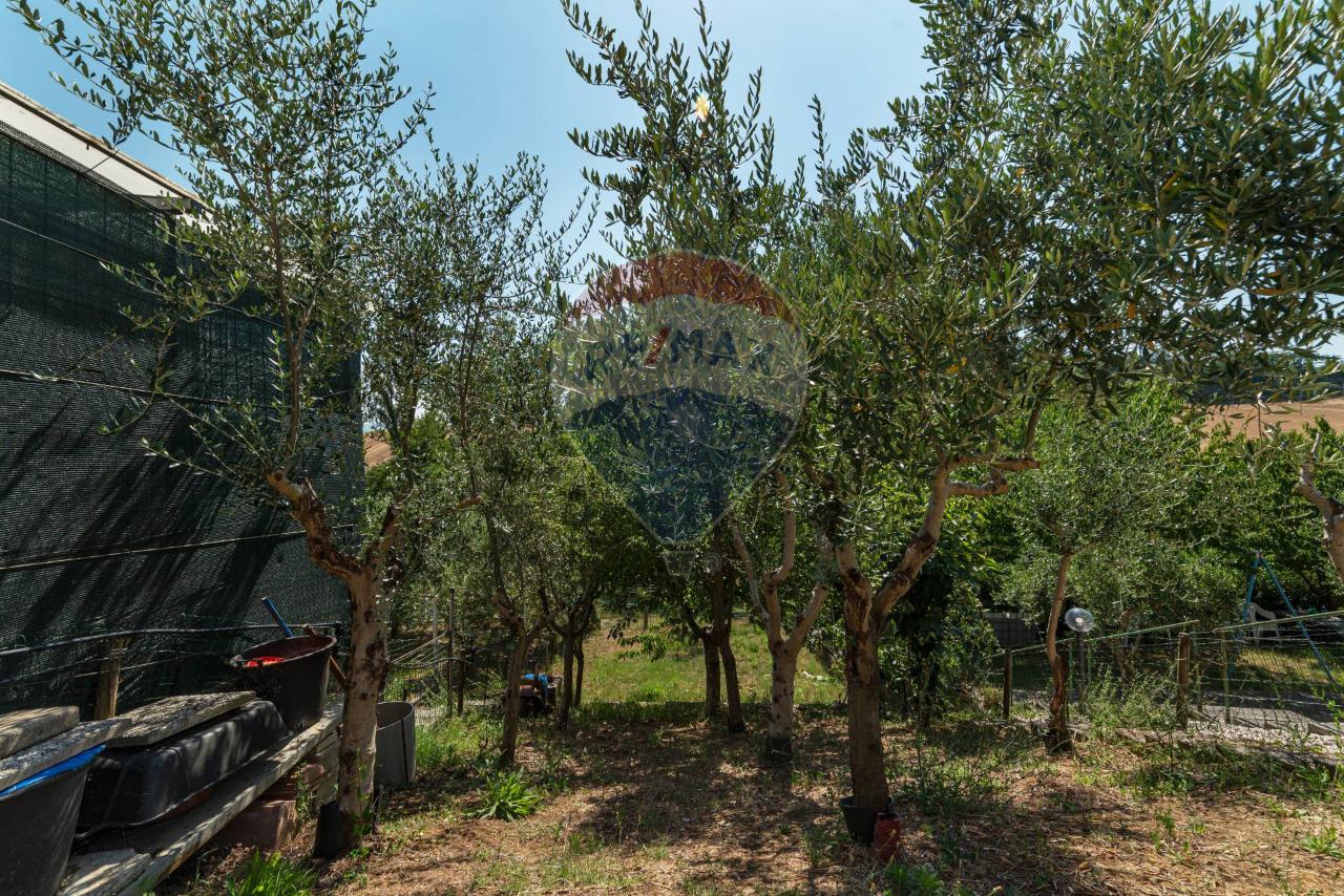immagine annuncio 10 di 13