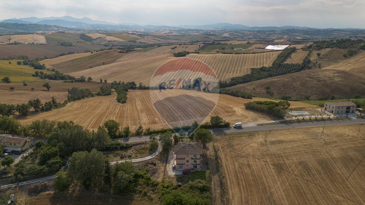 immagine annuncio 11 di 14