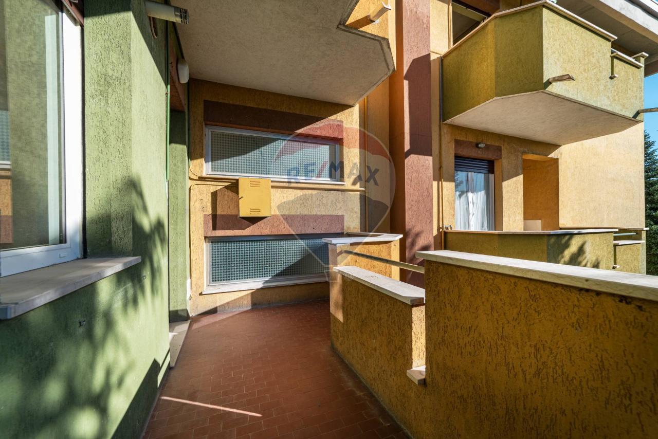 immagine annuncio 3 di 12