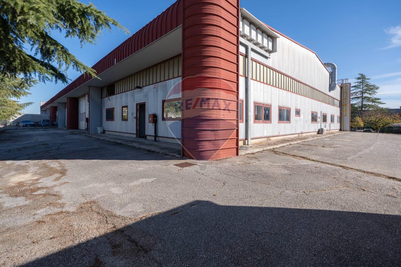 Capannone in Via dell'Industria 17, Monte San Vito, {3} - Foto 2
