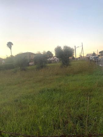 immagine annuncio 4 di 7