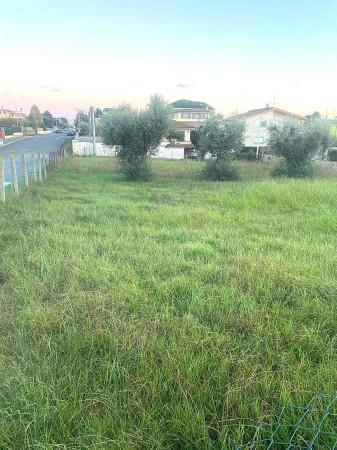 immagine annuncio 6 di 7