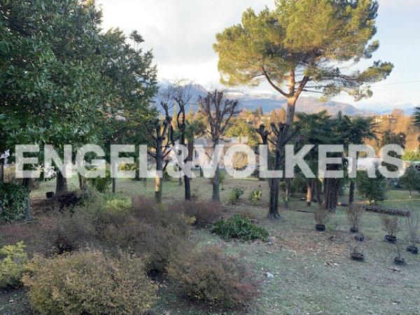 immagine annuncio 7 di 12