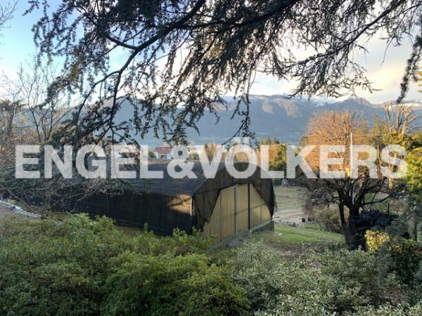 immagine annuncio 5 di 12