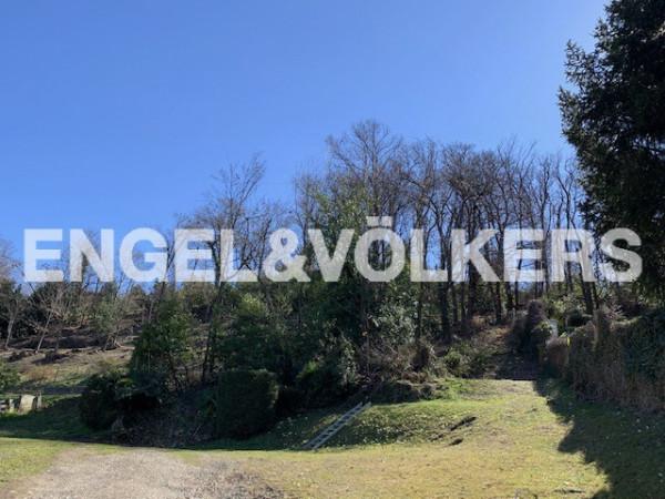 immagine annuncio 2 di 7