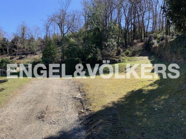 immagine annuncio 3 di 7