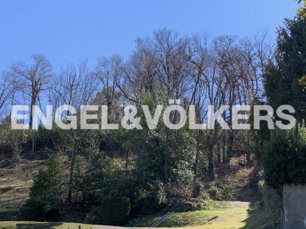 immagine annuncio 5 di 7