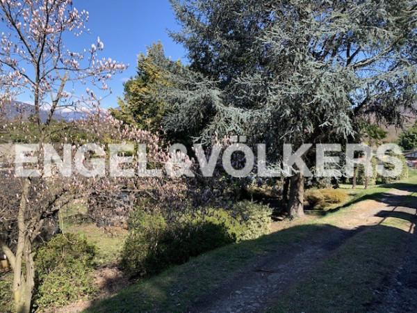 immagine annuncio 6 di 7