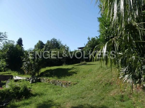 immagine annuncio 3 di 8